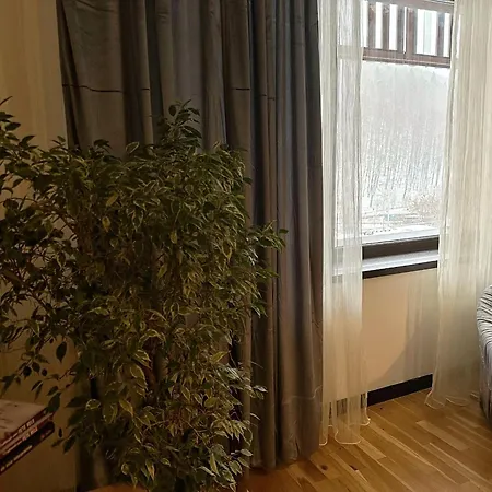 Apartament “La Iepure” Brasov Exterior photo